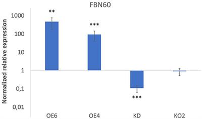 Overexpression of F-Box Nictaba Promotes Defense and Anthocyanin Accumulation in Arabidopsis thaliana After Pseudomonas syringae Infection